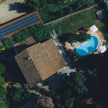 I Cedri Agriturismo Biologico Orsomarso Dış mekan fotoğraf