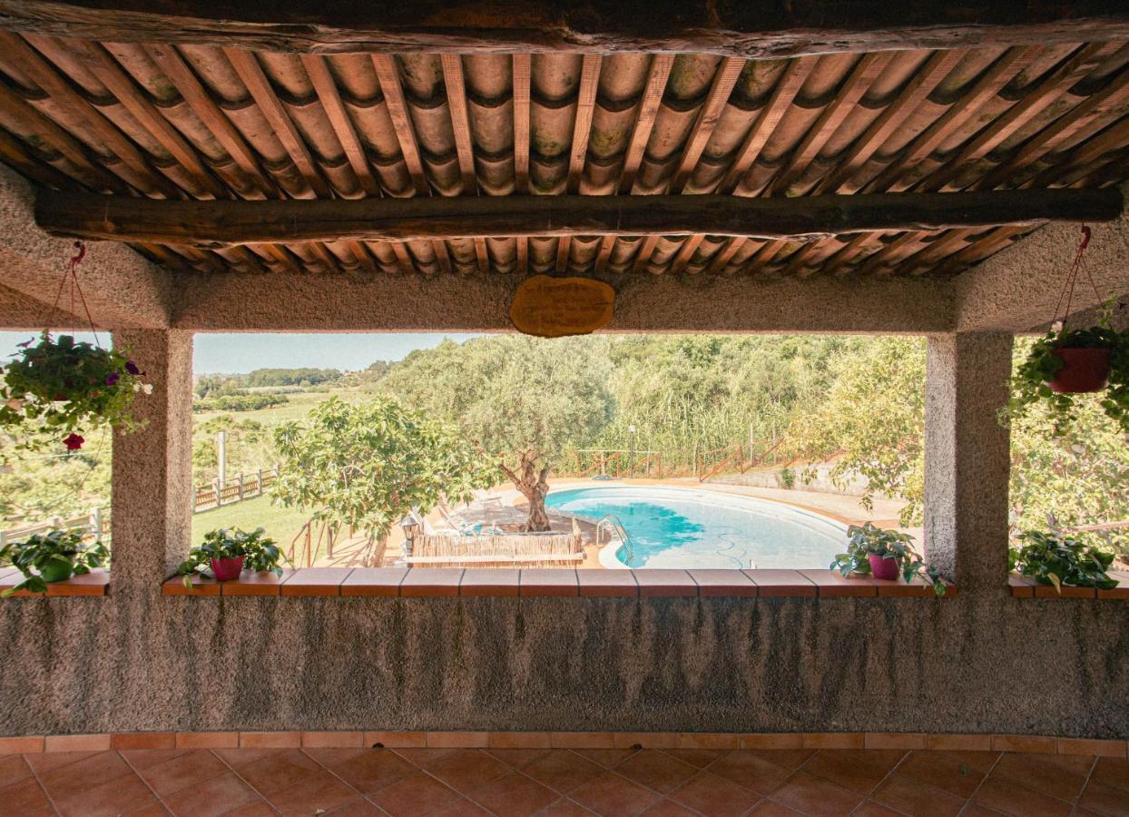 I Cedri Agriturismo Biologico Orsomarso Dış mekan fotoğraf